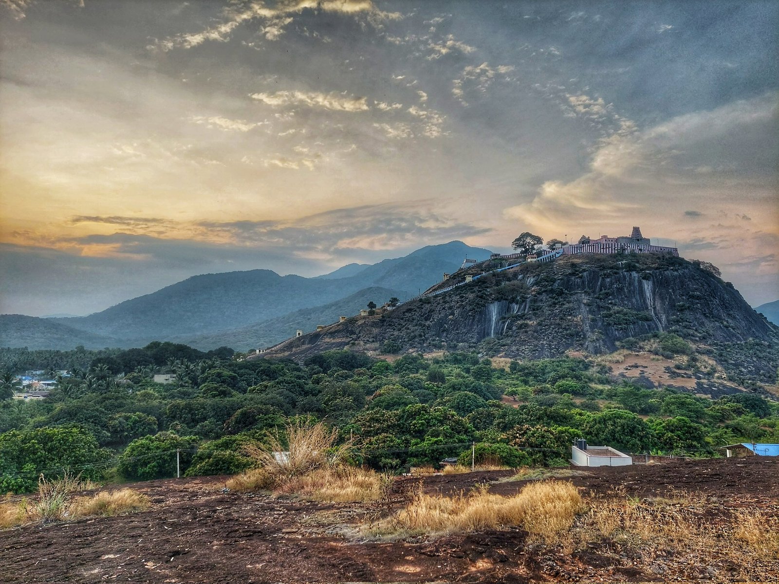 Coimbatore to Tenkasi