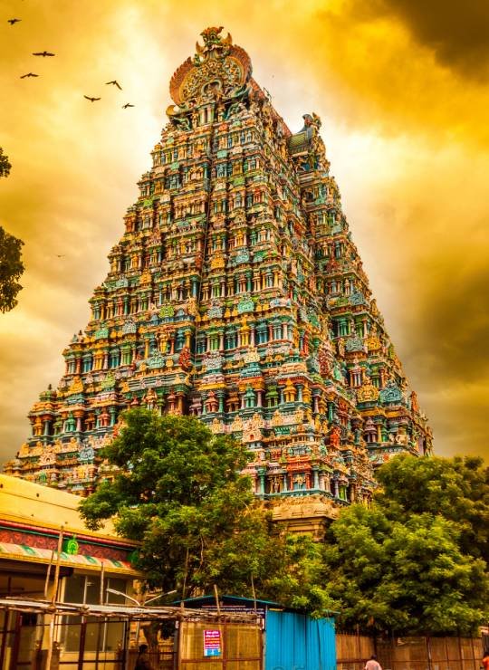 Tirunelveli to Madurai