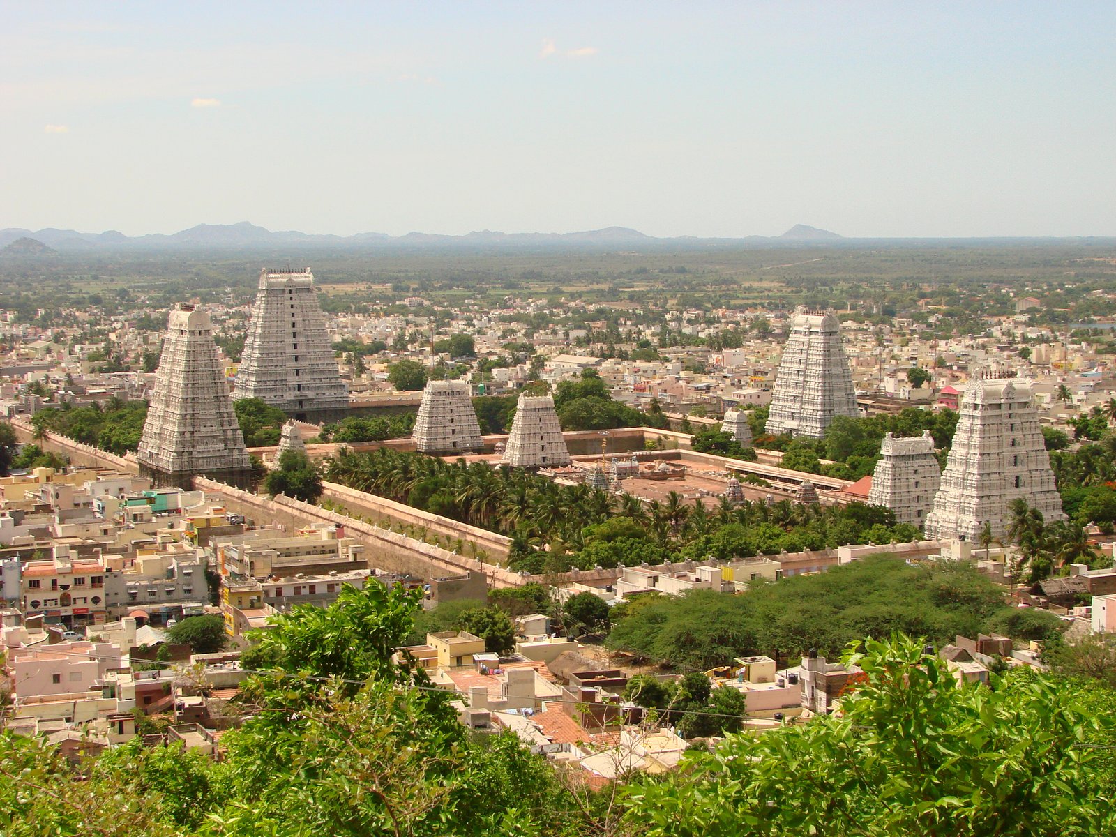 Pudukkottai to Tiruvannamalai